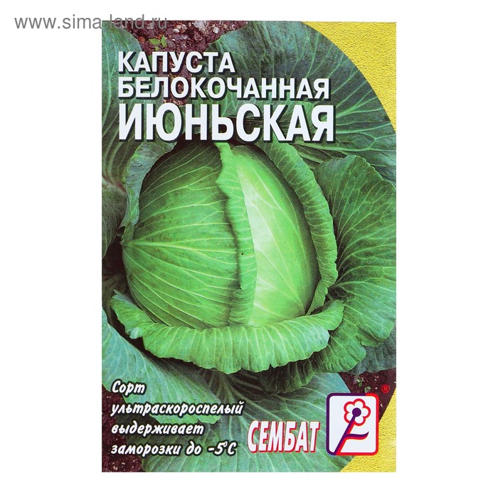 Семена Капуста белокачанная Июньская, 0,5 г семена капуста белокачанная смесь сила сибири средн 0 3 г