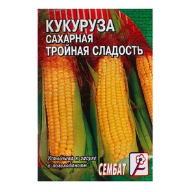 Семена Кукуруза  сахарная 'Тройная сладость', 5 г Ош