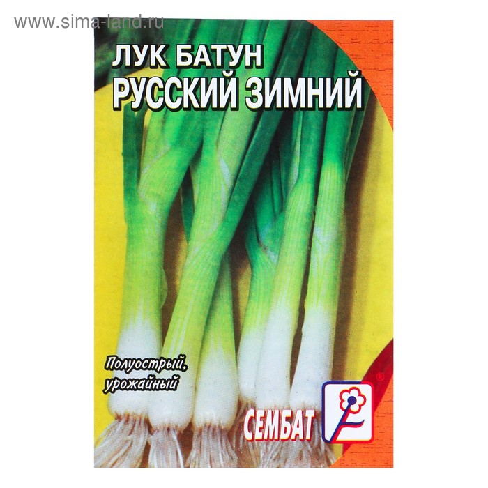 Семена Лук батун Русский зимний, 1 г семена лук батун geolia русский зимний