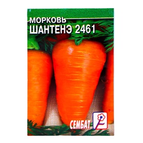 Семена Морковь "Шантенэ 2461", 0,5 г