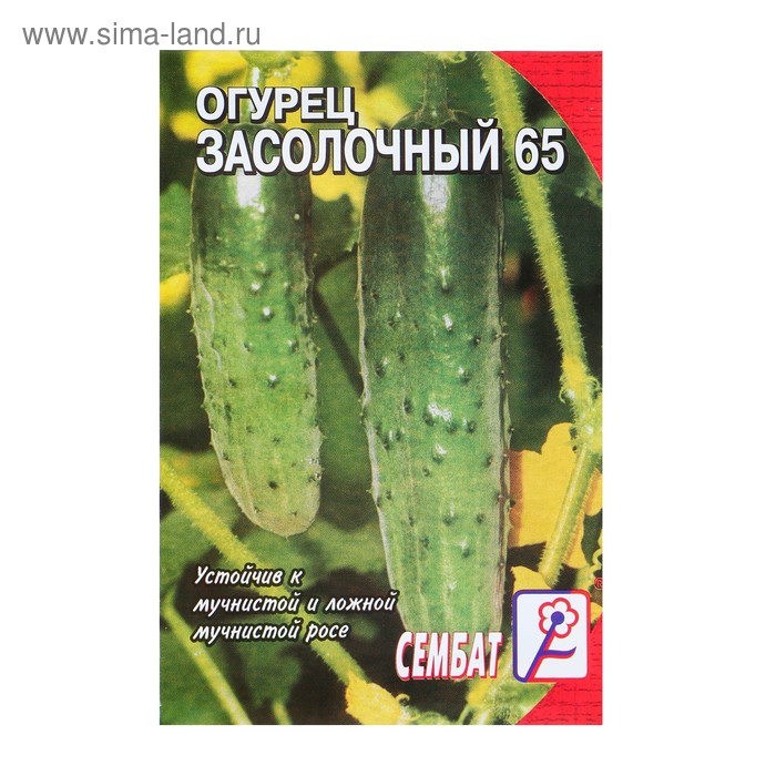 Семена Огурец Засолочный, 0,5 г семена огурец засолочный пчелоопыляемый