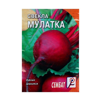 Семена свеклы мулатка фото