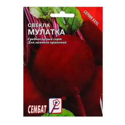 Семена свеклы мулатка фото