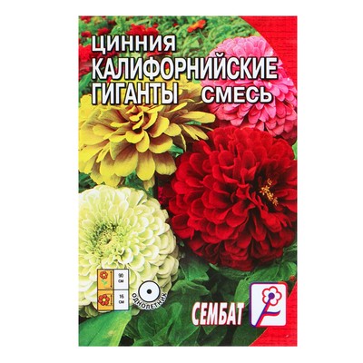 Цветы цинии купить семена цветы бесплатно москва