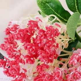 

Букет "Лагерстремия" 28 см, микс