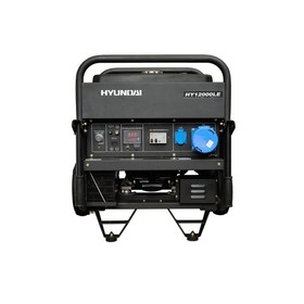 

Генератор бензиновый Hyundai HY 12000LE, 10 кВт, 230 В, ручной/электростартер, AVR