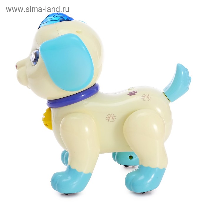 фото Робот собака «умный питомец» zhorya, на пульте управления, интерактивный: звук, свет, танцующий, музыкальный, на батарейках, на русском языке, бело-голубой
