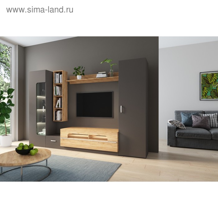 

Шкаф для ТВ универсальный Loft-20 3000х473х1970 Бронзовый век / Дуб Крафт золотой