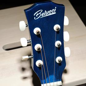 

Акустическая гитара Belucci BC3830 BLS