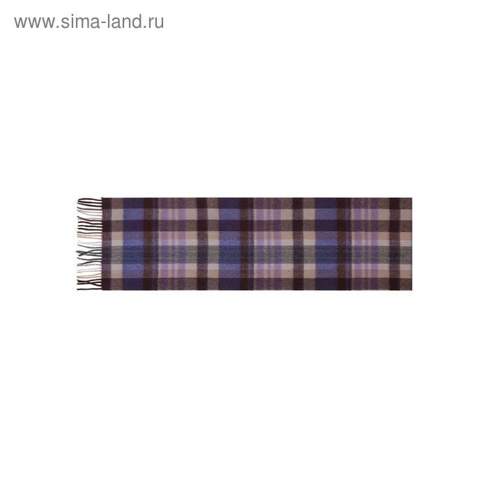фото Шарф мужской 30×164 см, фиолетовый labbra