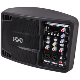 

Монитор Soundking PSM05R активный, 150Вт