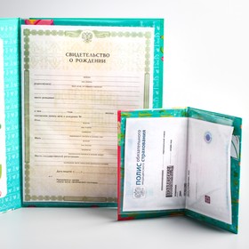 

Обложка для документов набор "Мои первые документы", Лама, Минни Маус (новый формат свидетельства)