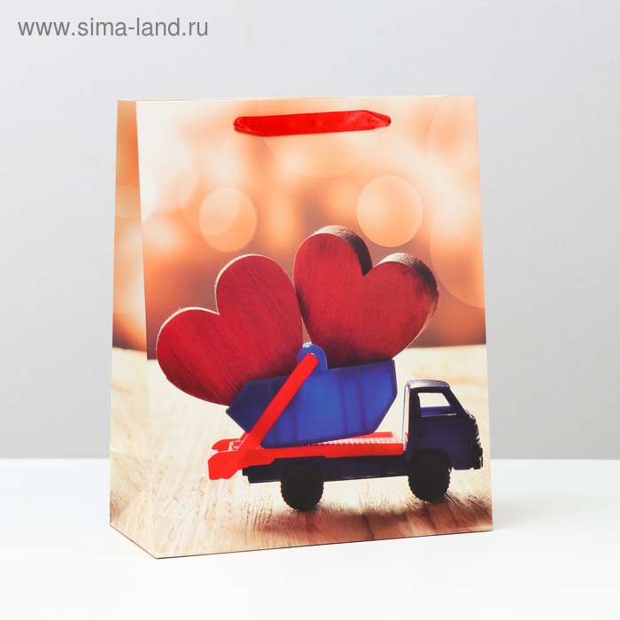 

Пакет подарочный ламинированный, 26 x 32 x 12 см