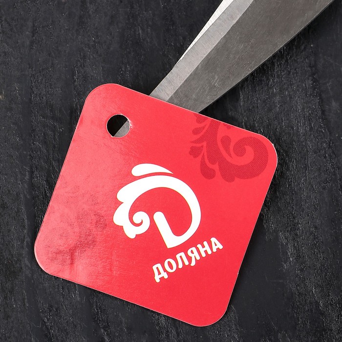 Ножницы кухонные для мяса и рыбы 23х7 см "Туман"