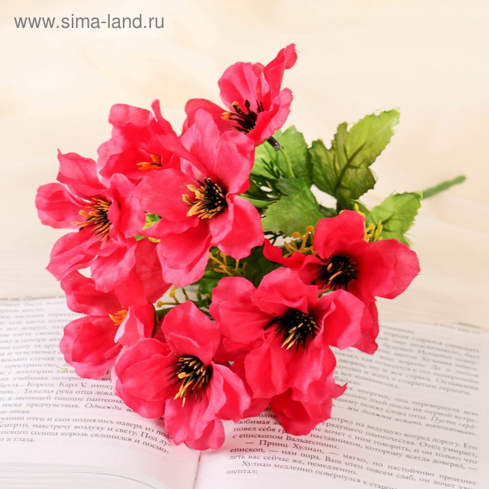 

Букет "Амсония" 28 см, микс