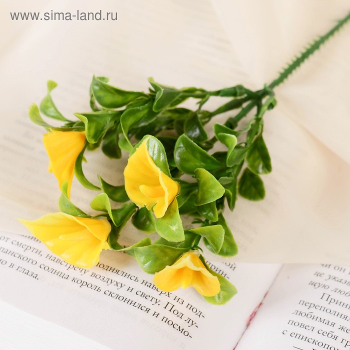 

Букет "Каллы" 21 см, микс