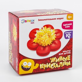 

Живые кристаллы «Цветок»