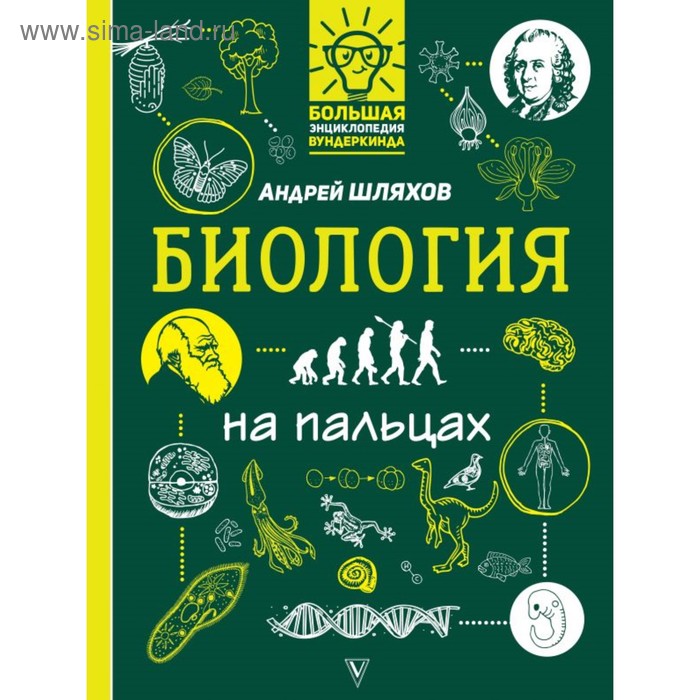 Биология на пальцах: в иллюстрациях. Шляхов А. Л.