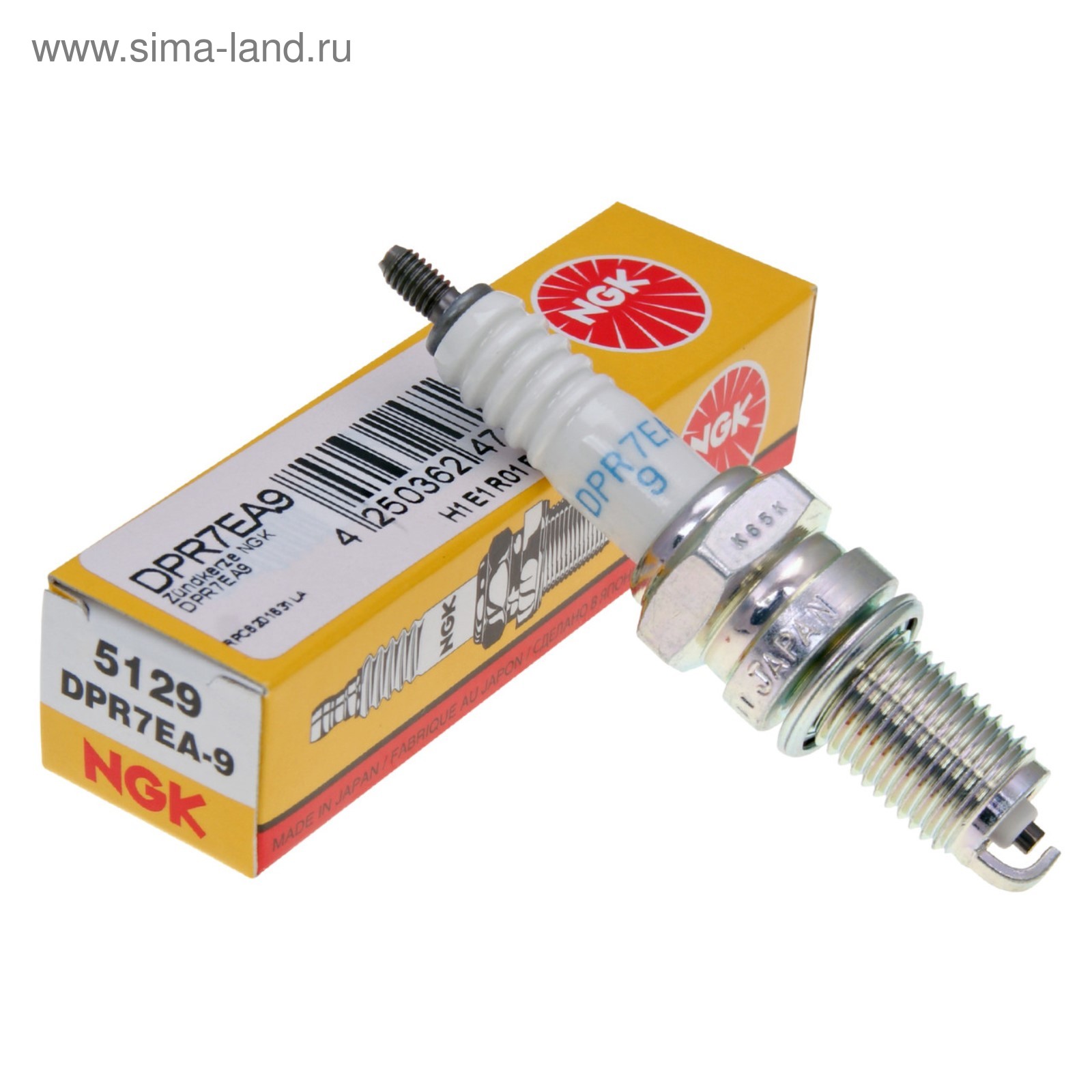 1600.jpg?v=1574886084