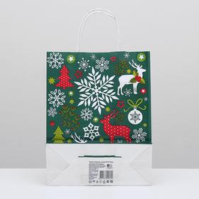 

Пакет крафт "Северное сияние", 25 х 11 х 32 см, крученая ручка