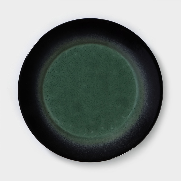 Тарелка фарфоровая Verde notte, d=25,5 см блюдо для суши verde notte 27 5×14 см