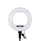 Кольцевая лампа OKIRA LED RING 180, 36 Вт, 180 светодиодов, d=35 см, белая Кольцевая лампа OKIRA LED RING 180, 36 Вт, 180 светодиодов, d=35 см, белая