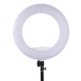

Кольцевая лампа OKIRA LED RING FS 480, 48 Вт, 480 светодиодов, d=45 см, + штатив, белая