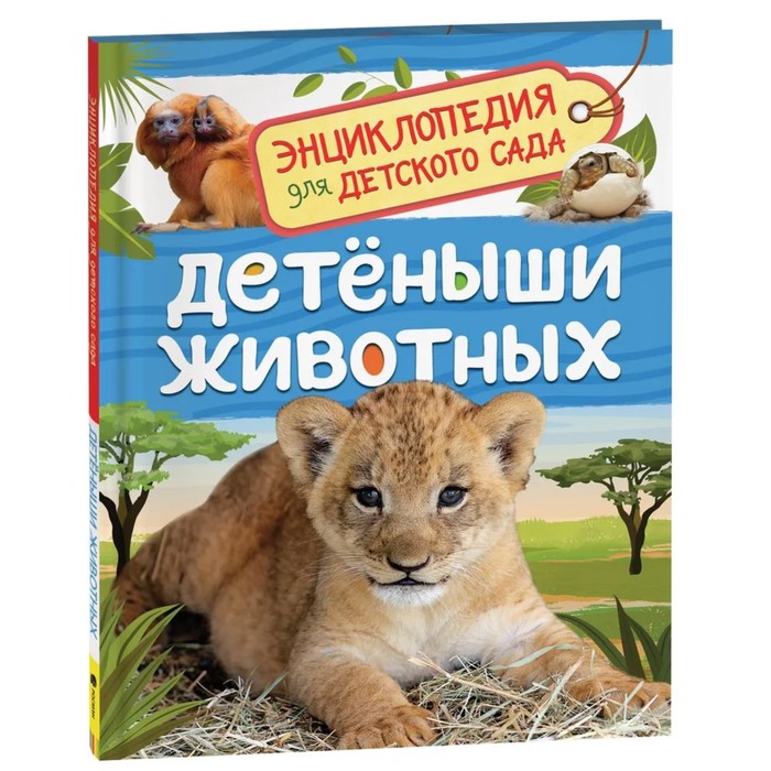 Энциклопедия для детского сада «Детёныши животных», Клюшник Л. В. энциклопедия для детского сада клюшник л в