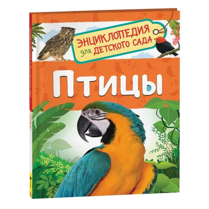 Энциклопедия для детского сада «Птицы», Гальцева С. Н. гальцева с птицы