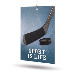 

Ароматизатор AVS Sport is Life, "Перец", бумажный