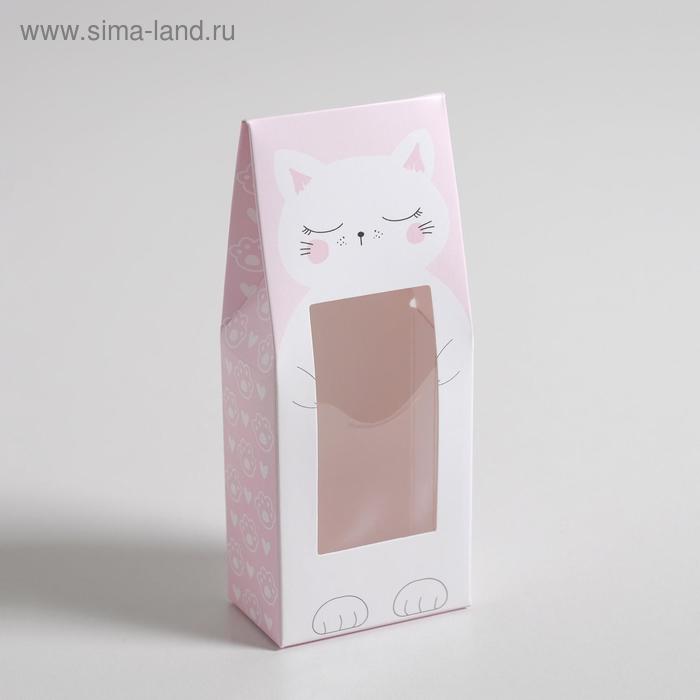 

Коробка складная «Кот», 5.7 х 14.5 х 3.5 см