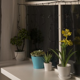 

Гирлянда «Бахрома» 3 × 0.5 м, IP20, тёмная нить, 80 LED, свечение фиолетовое, 8 режимов, 220 В, УЦЕНКА