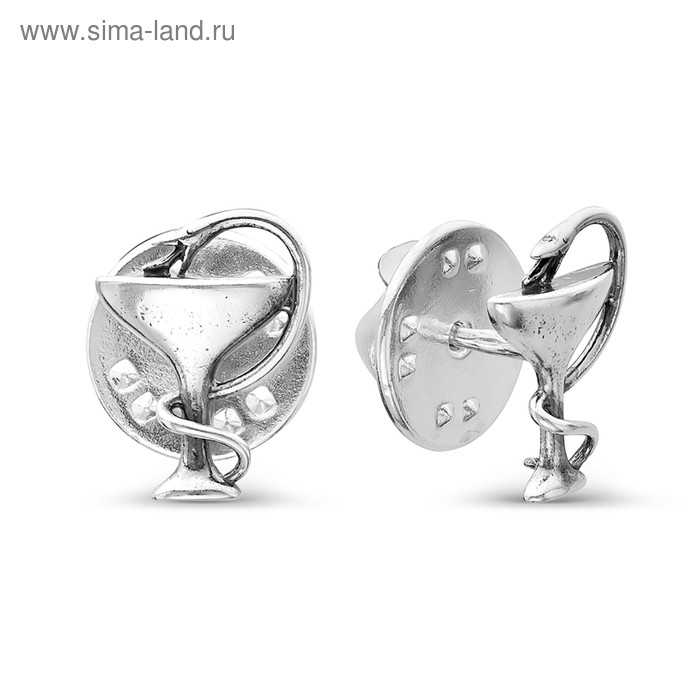 Значок "Змея в геральдике", посеребрение