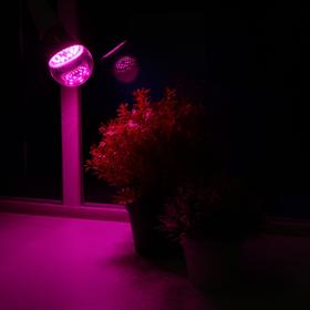 Лампа светодиодная для растений Uniel, А60, Е27, 8 Вт, спектр для рассады и цветения