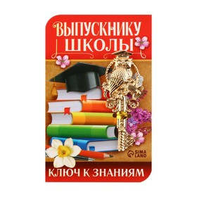 Ключ на открытке {amp}quot;Выпускнику школы{amp}quot;, 5,1 х 8,2 см