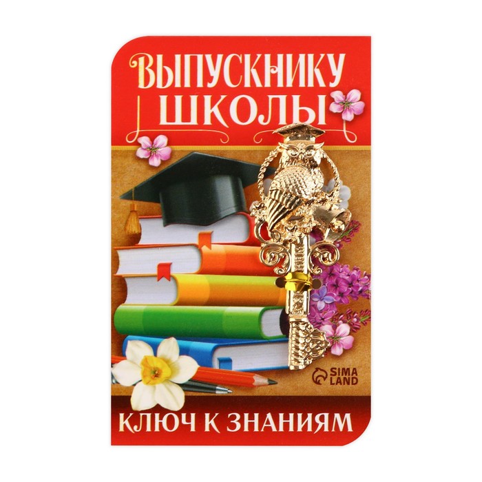 

Ключ сувенирный на Выпускной «Выпускнику школы», металл, 2 х 4,8 см