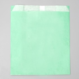 

Пакет бумажный фасовочный, мятный, V-образное дно, 23,9 х 20 х 9 см