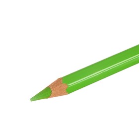 

Карандаш акварельный Koh-I-Noor Mondeluz 3720/022, зеленый желтоватый, 175 мм, грифель 3.8 мм, ЦЕНА ЗА 1 ШТ