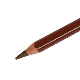 

Карандаш акварельный K-I-N Mondeluz 3720/032, сиена натуральная, 175 мм, грифель 3.8 мм, ЦЕНА ЗА 1 ШТ