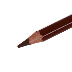 

Карандаш акварельный Koh-I-Noor Mondeluz 3720/065, терракотовый medium, 175 мм, грифель 3.8 мм, ЦЕНА ЗА 1 ШТ