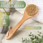 Щётка банная из натуральной щетины, с ручкой, гладкая