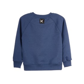 

Свитшот для девочки, рост 104-110 см, цвет синий