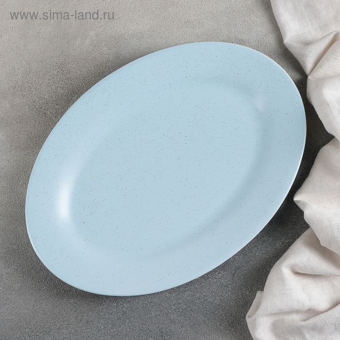 блюдо фарфоровое доляна млечный путь 29 5×17 5 см цвет серый Блюдо фарфоровое Доляна «Амелия», 29,5×20,5 см, цвет голубой
