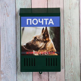 

Ящик почтовый без замка (с петлёй), вертикальный, «Фото», МИКС, зелёный