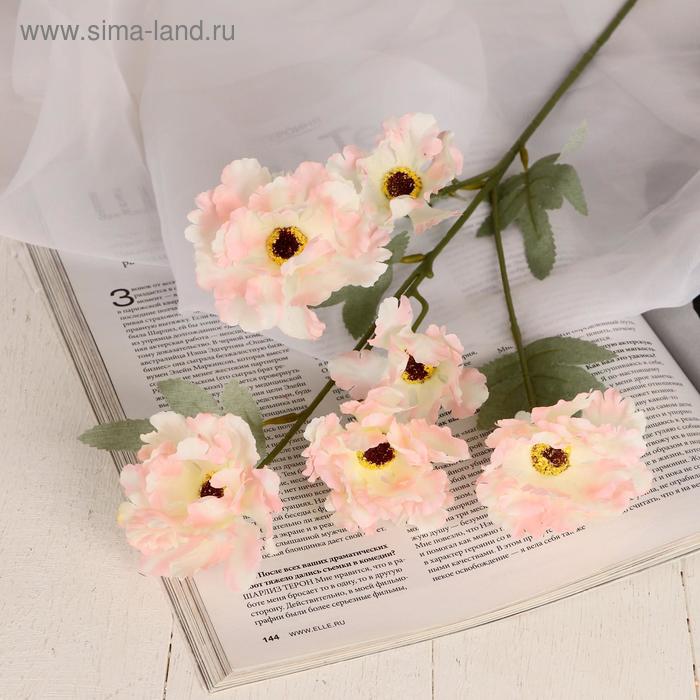 Цветы искусственные Космея махровая 8х58 см, белый с розовым