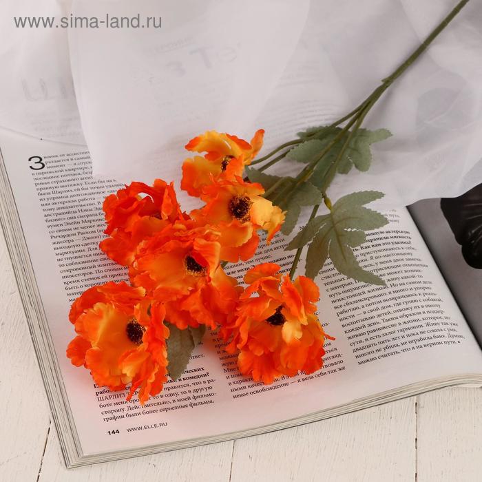 Цветы искусственные Космея махровая 8х58 см, оранжевый цветы искусственные космея махровая 8х58 см белый