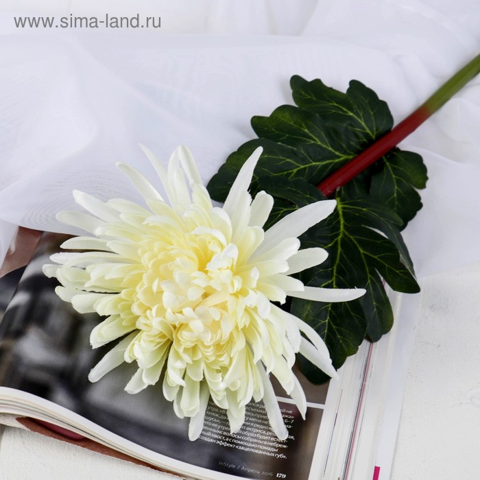 цена Цветы искусственные Астра пионовидная 17х63 см, белый