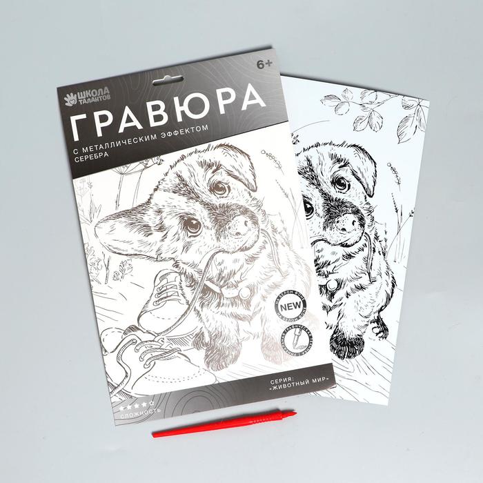 

Гравюра «Пёс с ботинком» A4, с металлическим эффектом «серебро»