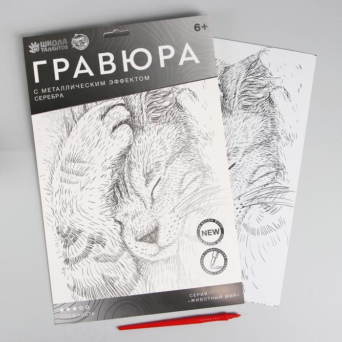 

Гравюра «Спящий котёнок» A4, с металлическим эффектом «серебро»