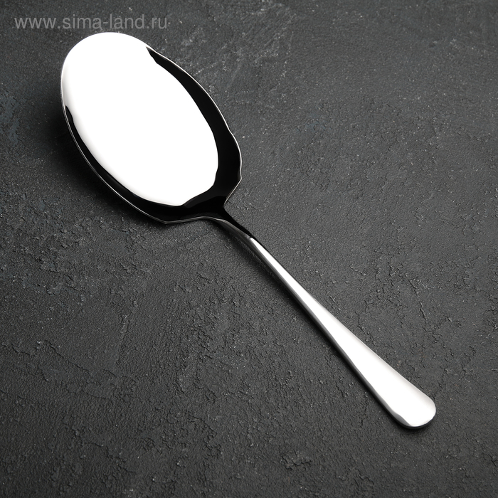 

Ложка гарнирная из нержавеющей стали «Моника», h=27 см
